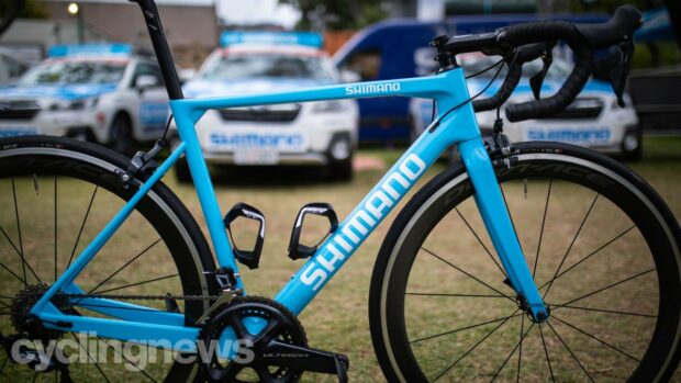 Shimano neutral support