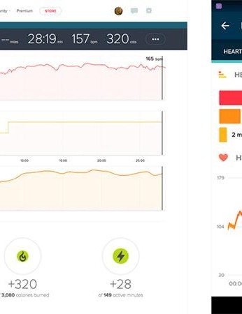 Fitbit store blaze dashboard