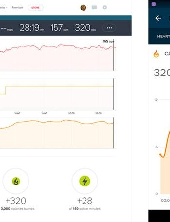 Pour un aperçu de base après l'entraînement du temps passé dans chaque zone de fréquence cardiaque, ainsi qu'une surveillance continue de votre fréquence cardiaque au repos pour voir comment votre condition physique s'est améliorée au fil du temps, le Blaze vous a couvert