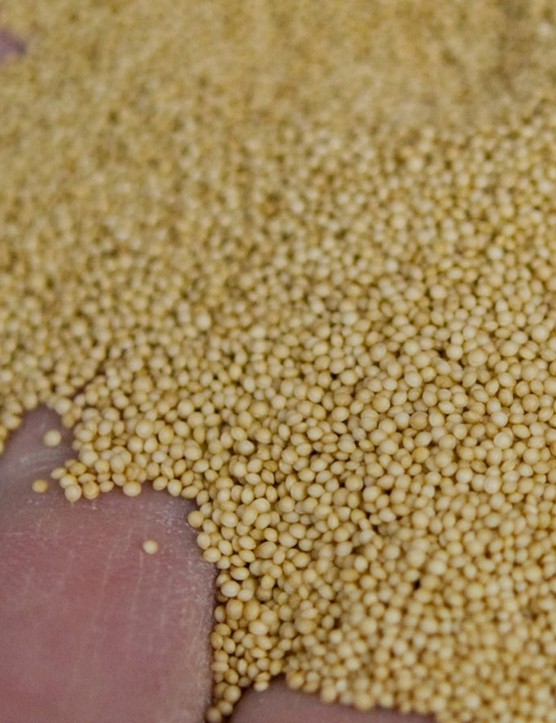 L'amarante contient plus de protéines que le quinoa