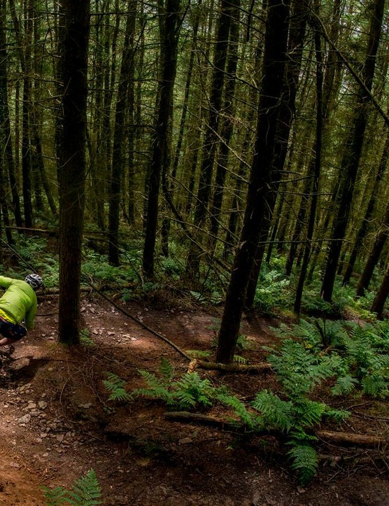 La piste d'essai galloise de Mojo comprend des dizaines de virages de toutes formes et tailles - c'est parfait pour tester la maniabilité d'un vélo