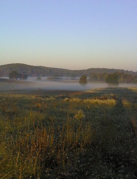 Brume matinale