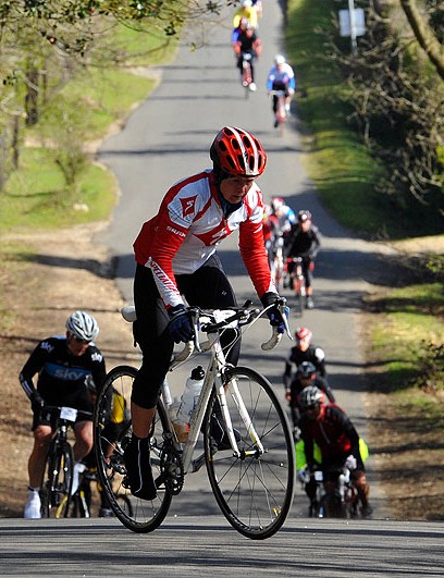 Nouvelle forêt Wiggle