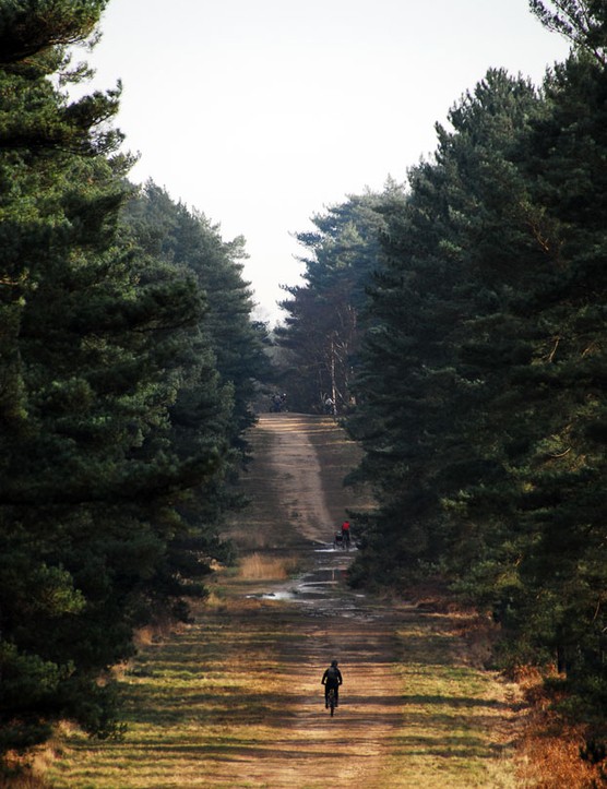 Gorrick propose désormais des séances de coaching VTT dans la forêt de Swinley