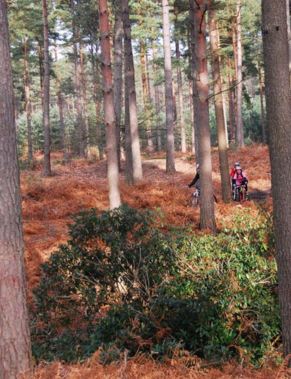 Gorrick propose désormais des séances de coaching VTT dans la forêt de Swinley