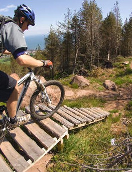 Une fois en douceur, recherchez la fin de la section de bois.