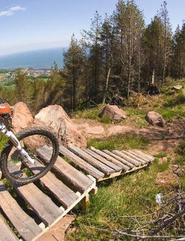 Allégez l'avant du vélo puis la roue arrière.