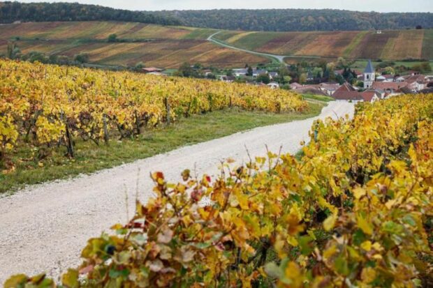 A sector of gravel set to feature on stage 9 of the 2024 Tour de France in Troyes