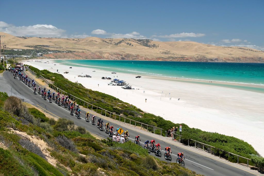 The peloton passes by Aldinga beach during the 2023 Tour Down Under men