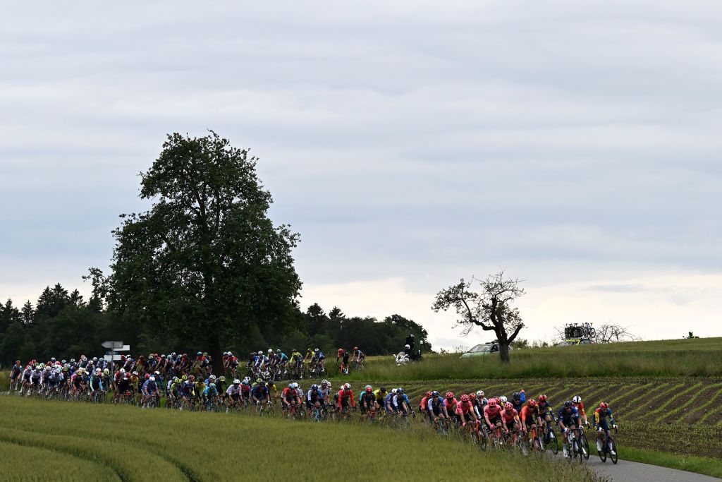 A general view of the peloton competing during the Tour de Suisse 2024