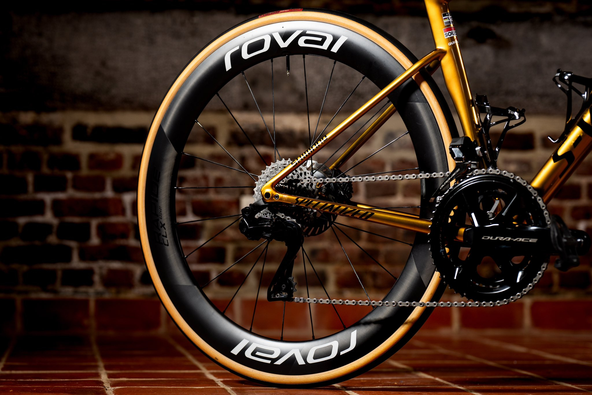 Remco Evenepoels Gold Tarmac SL8