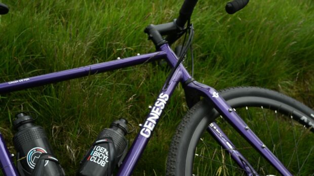 A purple Genesis Croix de Fer lying against some grass