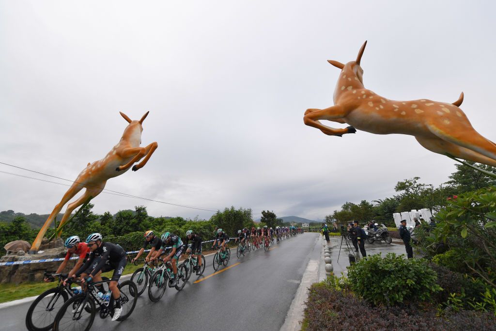 Des cerfs sauvages font des ravages lors de la Vuelta a España, blessant des coureurs, endommageant le porte-bagages de toit de la voiture de l'équipe et les vélos