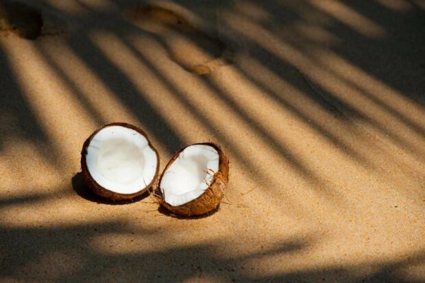 Bienfaits de la noix de coco