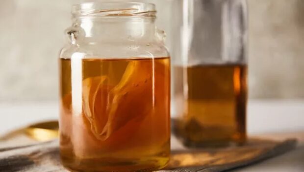 La recette du kombucha