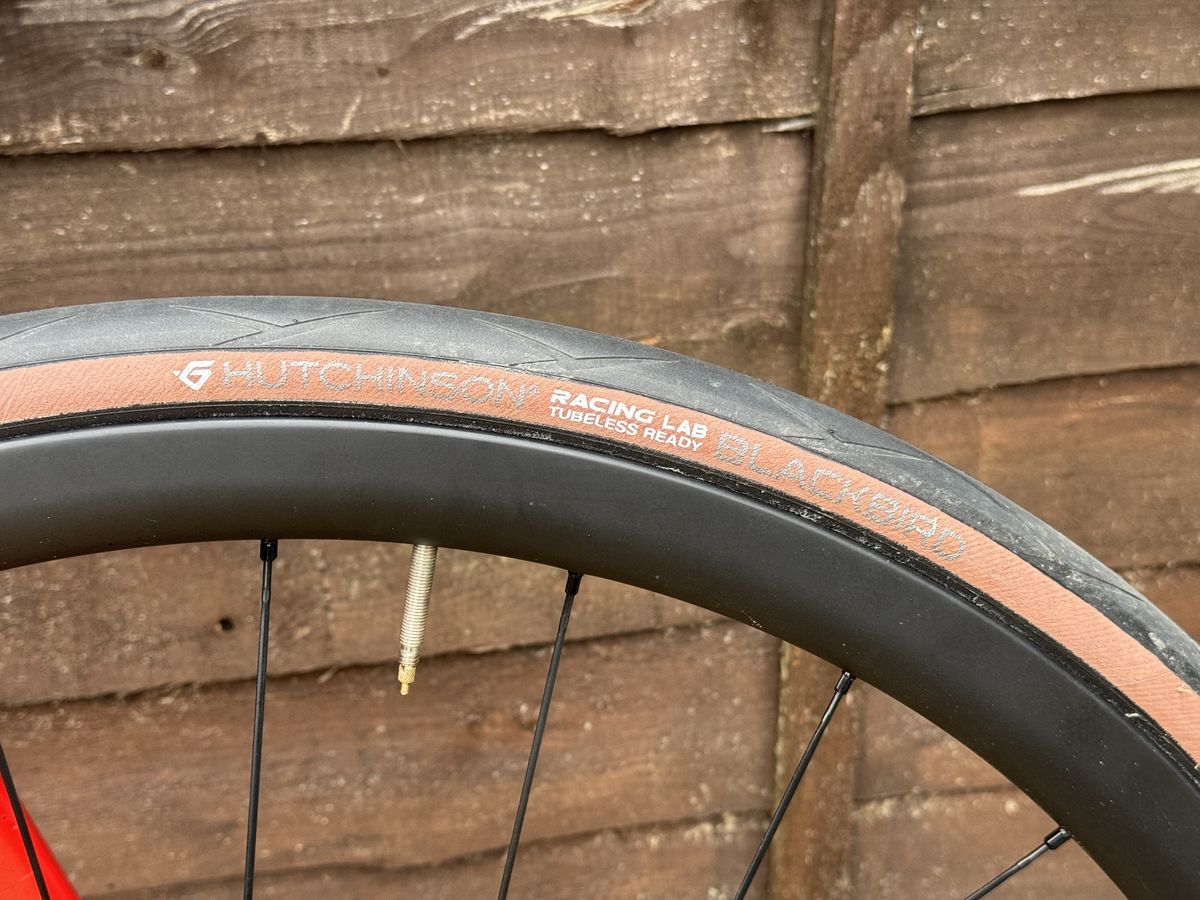 Hutchinson Blackbird Road Road Bike Tire Review: pas le plus rapide, mais super dans de nombreuses autres régions