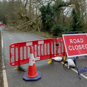 L'organisateur de course britannique fait face à une «perte financière» après l'événement annulé en raison de l'arbre sur la parcours