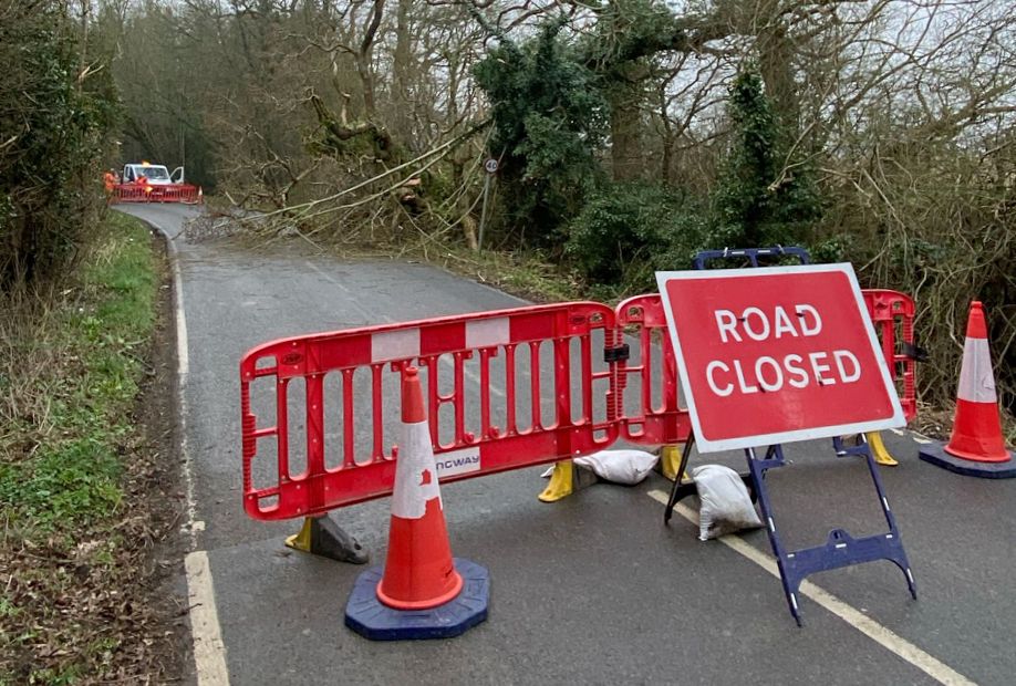 L'organisateur de course britannique fait face à une «perte financière» après l'événement annulé en raison de l'arbre sur la parcours